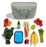 Hydro Flask 20L Insulated Tote - Agave Color