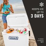 52qt Marine Cooler - Keeps Ice Up to 3 Days