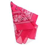 Motique Extra Large Paisley Bandana Set of 4