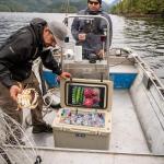 2 Pack Cooler Storage Nets for Camping Gear