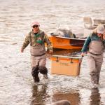 Ultra-Light 52 Quart Insulated Cooler for Adventure