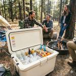 Adjustable Cooler Basket with Non-Slip Handles