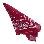 Motique Accessories Extra Large Paisley Bandana Set