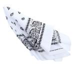Motique Accessories Extra Large Paisley Bandana Set