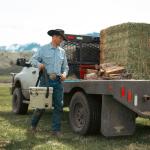 YETI Roadie 15 Cooler with Shoulder Strap, Tan