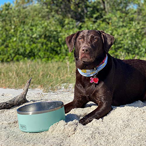 YETI Boomer 8 Seafoam Stainless Steel Dog Bowl