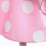 Disney Princess Polka Dot Dress and Mouse Ears