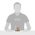 Jim Shore Bambi Thumper Blossom Bunny Figurine