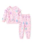 Disney Princess Toddler Outfit - 2 Piece Set