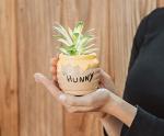 Disney Winnie the Pooh Hunny Pot Mini Planter