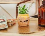 Disney Winnie the Pooh Hunny Pot Mini Planter