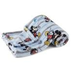 Disney Characters Soft Fleece Baby Blanket 30x40