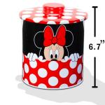 Mickey and Minnie Cookie Jar Set with Stickers