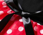 Girls Mini Mouse Costume for Toddler Dress-Up