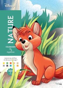 Disney Mystery Coloring Pages - Nature Fun