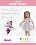 Minnie Mouse Rainbow Dress for Toddler Girls