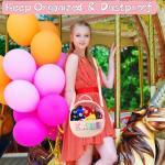 Disney Mouse Ears Travel Case and Organizer