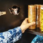 Disney Peek-A-Boo Mouse Hole Wall Decal Set