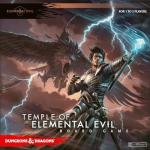 Disney Dungeons & Dragons: Temple of Elemental Evil Game
