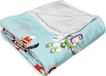 Disney Silk Touch Throw Blanket, Years of Wonder