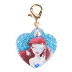 Disney Princess Charm Bracelet and 5 Charms Set