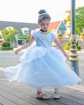Cinderella Princess Dress Up Costume for Girls
