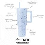 Minnie Mouse 40 oz Insulated Stainless Steel Tumbler