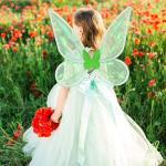 Disney Fairy Wings for Adults and Girls