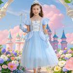 Cinderella Costume Dress for Kids Ages 3-4