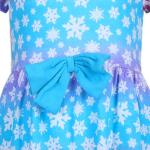 Disney Elsa Frozen Dress Set for Little Girls