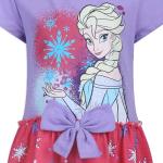 Disney Elsa Frozen Dress Set for Little Girls