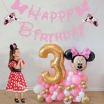 Disney Pink Mouse Happy Birthday Banner for Kids