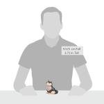 Jim Shore Cinderella Lucifer Cat Figurine 3.75