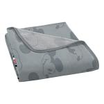 Mickey Mouse Micro Raschel Throw Blanket, 46"x60