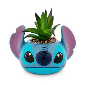 Disney Lilo & Stitch Mini Planter with Succulent