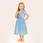 Disney Frozen 2 Elsa Nightgown for Girls
