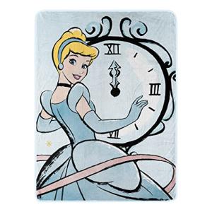 Cinderella Micro Raschel Throw Blanket, 46" x 60