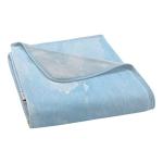 Cinderella Micro Raschel Throw Blanket, 46" x 60