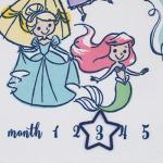 Disney Princess Colorful Soft Milestone Baby Blanket