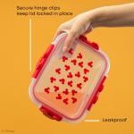 Disney Mickey & Minnie Glass Food Storage Containers