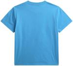 Disney Birthday Boy Mickey Mouse Short Sleeve Shirt