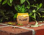 Disney Winnie the Pooh Hunny Pot Mini Planter