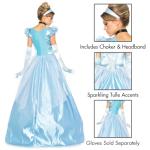 Cinderella Princess Costume for Women - Small