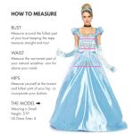Cinderella Princess Costume for Women - Small