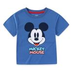 Disney Mickey Mouse Mesh T-Shirt and Shorts Set