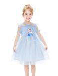Disney Frozen Dress Elsa Dress for Girls Sparkle Tulle Ruffle Dresses for Toddler Girls Casual Toddler Dresses Blue Dress 3-4T