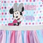Disney Minnie Mouse Girls Birthday Tutu Dress for Infant Toddler and Big Kids