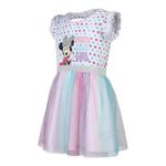 Disney Minnie Mouse Girls Birthday Tutu Dress for Infant Toddler and Big Kids