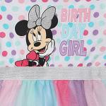 Disney Minnie Mouse Girls Birthday Tutu Dress for Infant Toddler and Big Kids