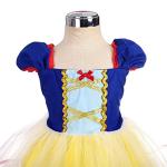 Dressy Daisy Princess Costumes Birthday Fancy Halloween Xmas Party Dresses Up for Toddler Girls Size 2T
